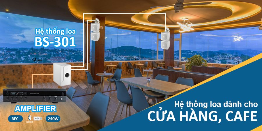 Hệ thống loa vệ tinh:TOA BS-301W | Sản phẩm chính hãng