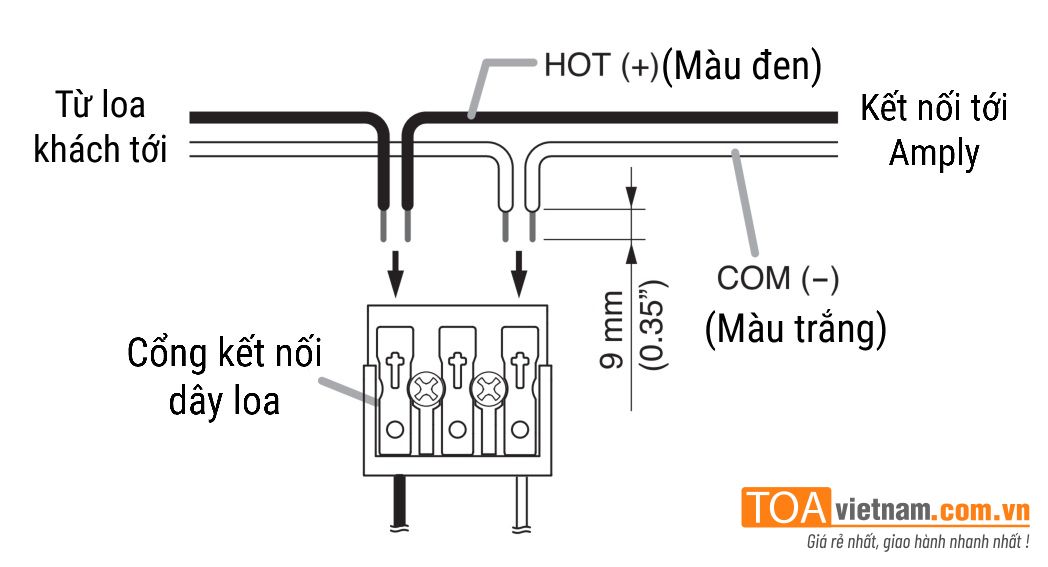 Nối dây âm thanh cho loa hộp 6W có chiết áp BS-678T và BS-678BT